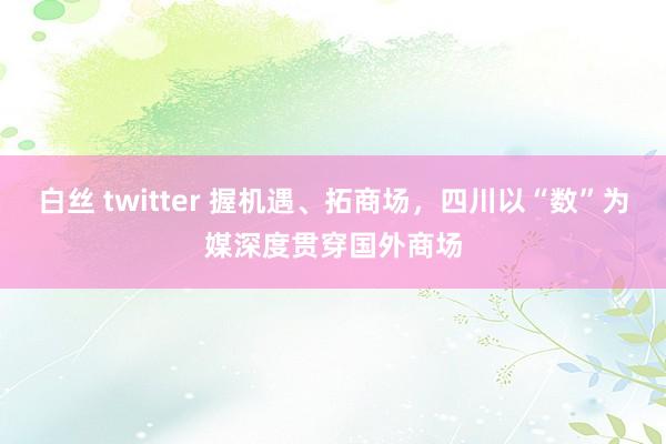 白丝 twitter 握机遇、拓商场，四川以“数”为媒深度贯穿国外商场