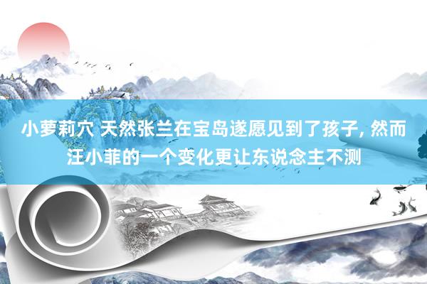 小萝莉穴 天然张兰在宝岛遂愿见到了孩子， 然而汪小菲的一个变化更让东说念主不测